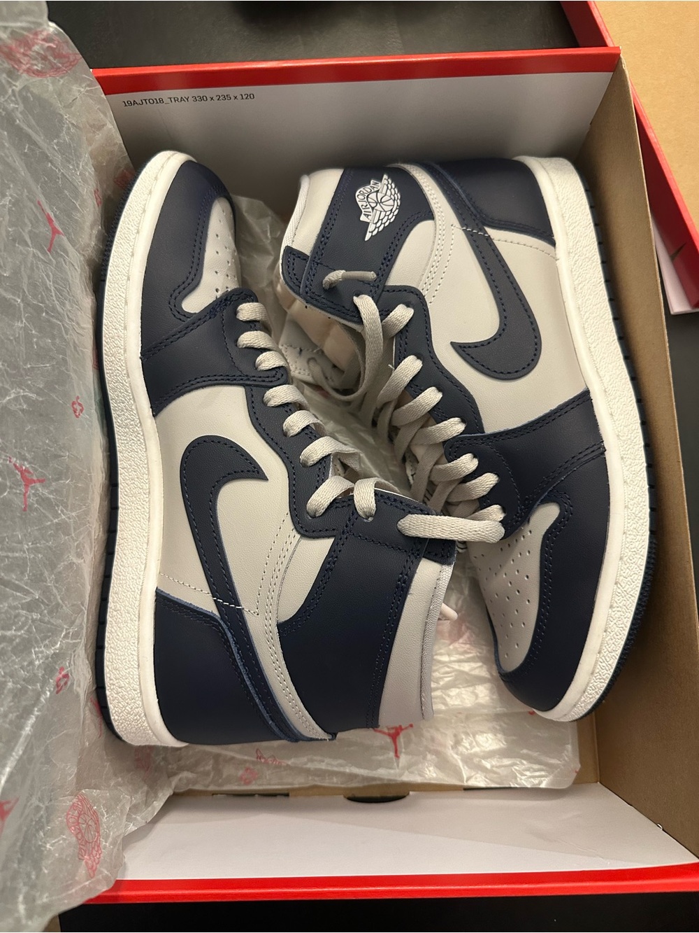 Nike Air Jordan 1 High Georgetown Men's Sneakers
